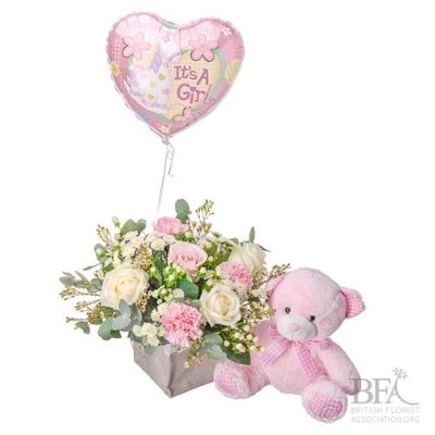 Bundle of Joy with a Balloon and Teddy